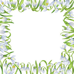 Floral frame of delicate white snowdrops flowers and green leaves. Springtime square frame of flowers. Spring flowers clipart. Hand-drawn watercolor illustration. For postcards, invitations design