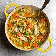 A comforting pot of chicken noodle soup, richly textured with noodles, carrots, celery, and shredded chicken, with a ladle