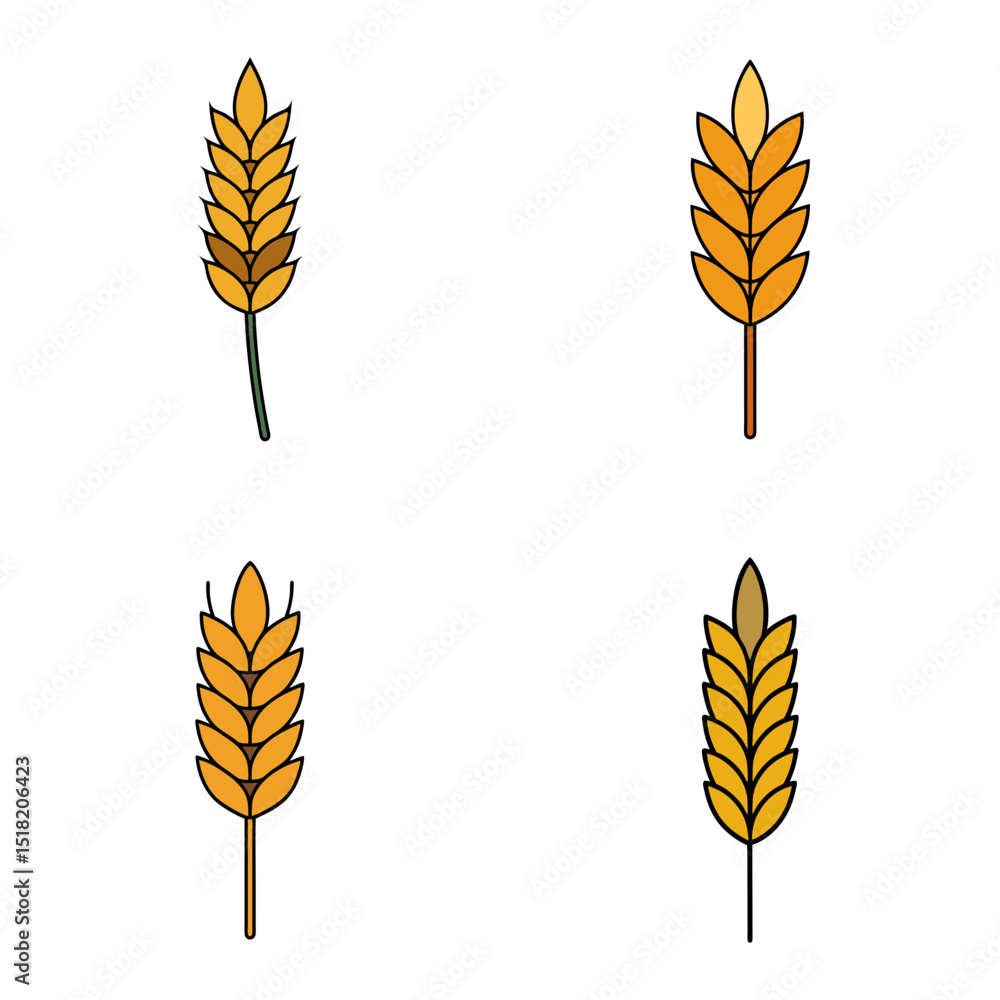 Poster four wheat stalks with different stem colors arranged in a square formation on a white background