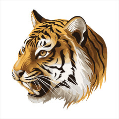tiger head Vector