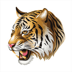 tiger head Vector