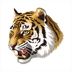 tiger head Vector