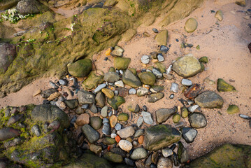 Wet rock formation full of texture on the edge of a beach. Preserved environment.