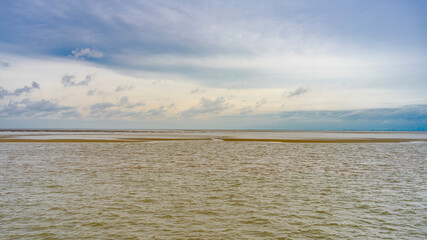 Seehundbank Cuxhaven
