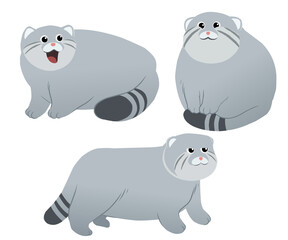 Adorable pallas cat vector design set ready to use for your various projects.