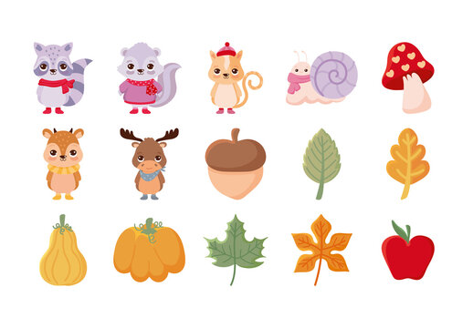 Colorful Autumn Animals Forest Leaves Illustrations Set