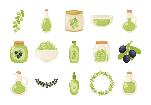 Green And Black Olive Oil Branch Jar Bottle Illustrations Set