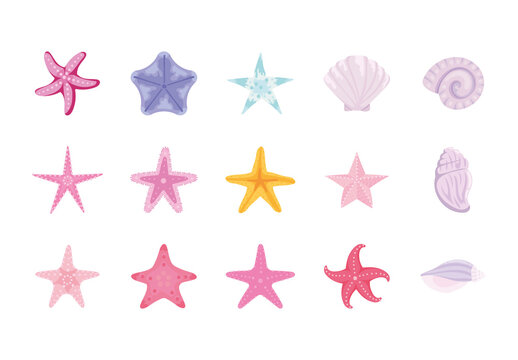 Pink And Purple Starfish Shells Sea Ocean Marine Illustrations Set
