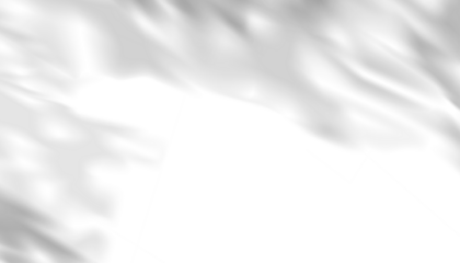 Leaves shadow overlay, isolated Branches leaves