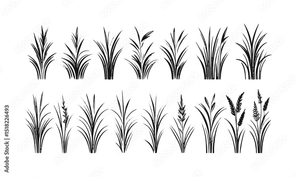Poster vector illustration featuring a set of abstract grass tufts in a minimalist black line art style, ea