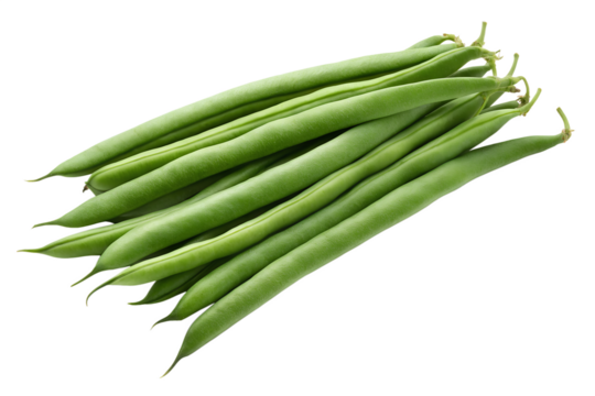 Fresh Green Beans A Guide to Growing, Cooking, and Enjoying this Healthy Vegetable