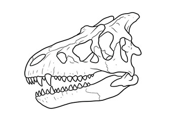 Dino skull drawing. It is a black and white outline image of a dinosaur skull, likely from a large theropod like T-Rex or Allosaurus. Vector sketch line art draw.
