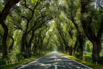 Naklejka premium Fresh Green Trees Along Bright Path