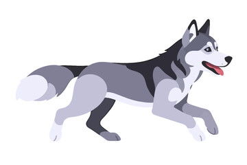 Running Siberian Husky Vector Illustration - Cartoon Dog Image of a Husky - Cute Dog Breed Artwork for Pet Lovers and Graphic Design Projects