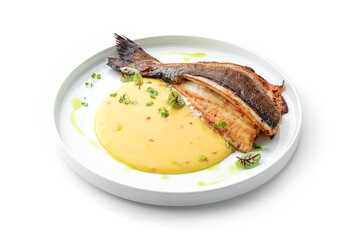 Grilled fillet dorado fish with sauce and greens on the plate isolated on white background. Healthy...