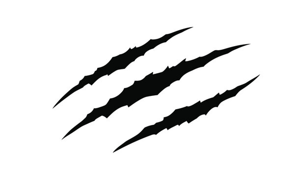 Cat claws scratches . vector illustration