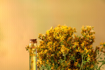 Hypericum - St. St. John's wort herbs, oil or infusion bottle, mortar on a wooden board.