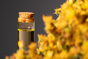 Hypericum - St. St. John's wort herbs, oil or infusion bottle, mortar on a wooden board.
