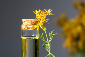 Hypericum - St. St. John's wort herbs, oil or infusion bottle, mortar on a wooden board.