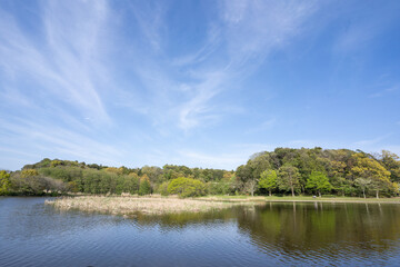 春の青空と松戸の公園