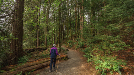 Senior woman hiking a forest trail in BC, Canada,