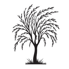 Willow Tree