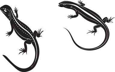 Fototapeta premium Skink silhouette vector design with white background ..