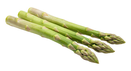 Isolated Fresh Asparagus