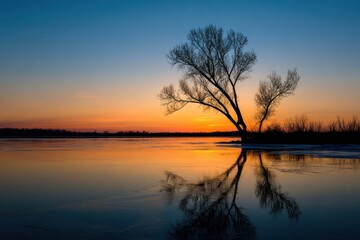 Serene Sunset Over Water with Silhouetted Tree Reflections
