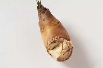 小さなタケノコ