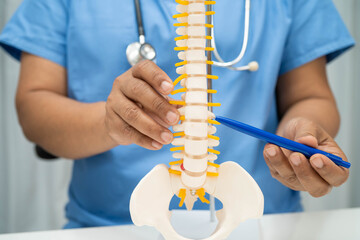 Asian doctor holding spinal nerve and bone model, Lumbar spine displaced herniated disc fragment...