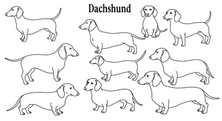 Line art illustration of multiple dachshund dogs in various poses