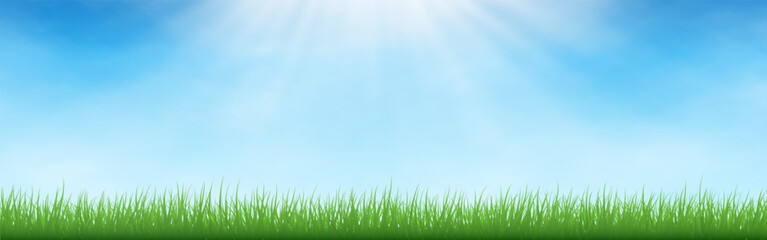 Fototapeta premium Grass border. Sunny green field with blue sky and light rays. Bright natural background for spring, summer, eco or outdoor design. Clean composition with space for text. Vector Illustration.