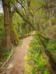 Jugueiros Levada Walkway. A dirt path with a rustic wooden railing follows the course of a narrow Levada, carrying water through a bright, leafy forest in Jugueiros, Felgueiras, Portugal