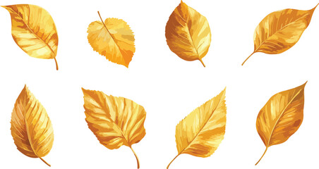 Obraz premium Isolated golden autumn leaves of various shapes and sizes are arranged on a white background showcasing the beauty of fall foliage in a
