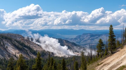 Fototapeta premium Scenic view of Yellowstone National Park showcasing geysers amidst lush greenery and mountains