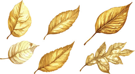 Obraz premium Elegant Golden Autumn Leaves Illustration on White Background Featuring Detailed Veins and Textures Perfect for Seasonal Designs and Artistic Projects with a Touch