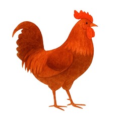 Freehand minimalistic watercolor illustration of a chicken isolated on a white background. Hand drawn a child's  watercolour drawing of a chick. Farm animal for design. Cock, cockerel