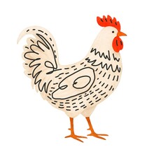 Freehand minimalistic watercolor illustration of a chicken isolated on a white background. Hand drawn a child's  watercolour drawing of a chick. Farm animal for design. Cock, cockerel