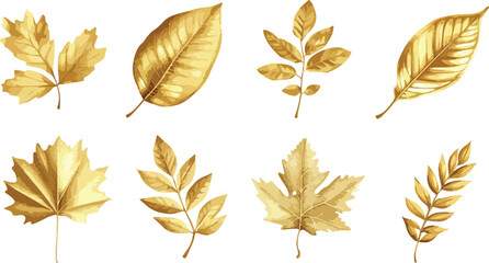 Elegant Golden Leaves Collection A Variety of Autumnal Foliage in a Luxurious Metallic Hue Isolated on a Clean White Background leaves white background golden