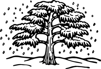 Majestic cedar tree illustration with wide branches and falling snowflakes, black and white hand drawn nature art