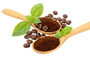 Isolated Coffee Beans and Basil on Wooden Spoons