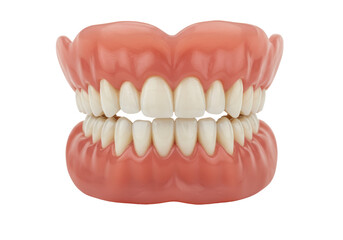 Isolated Set of False Teeth Prosthetic Dentures