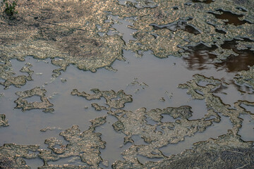 Stagnant water with texture