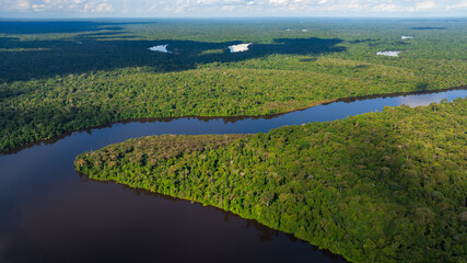 AERIAL VIEW OF FLOODED FORESTS IN THE PERUVIAN AMAZON RAINFOREST, AERIAL DRONE PHOTOGRAPHY OF THE NANAY RIVER AND THE FLOODED FORESTS OR IGAPOS