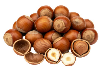 Isolated Pile of Hazelnuts with Shells and Halves