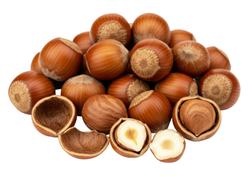 Isolated Pile of Hazelnuts with Shells and Halves