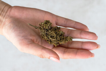 Close up handful of dried cannabis leaf in hands