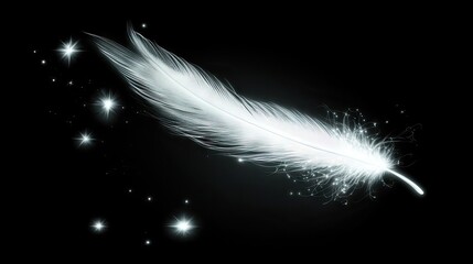 Obraz premium Illuminated white feather against a black background.