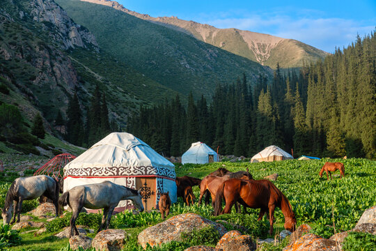 Kyrgyzstan iconic picture. Traditional Kyrgyz yurts with horses in a scenic mountains landscape. Altyn Arashan valley, Karakol city. Nomadic traditions.